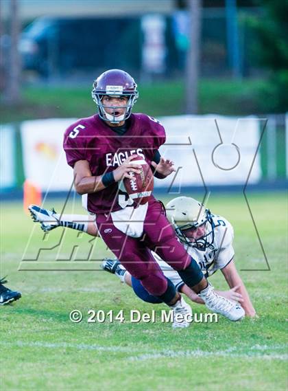 Thumbnail 1 in Durant @ Brandon photogallery.