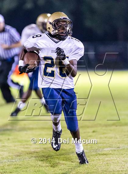Thumbnail 2 in Durant @ Brandon photogallery.