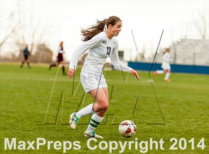 Thumbnail 3 in Golden @ Conifer photogallery.