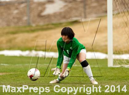Thumbnail 2 in Golden @ Conifer photogallery.