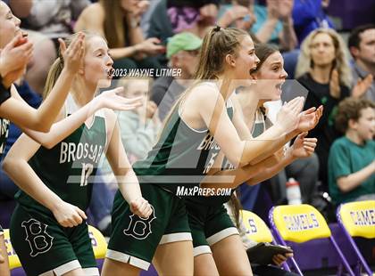 Thumbnail 1 in Bishop Brossart vs Scott (37th District Championship) photogallery.