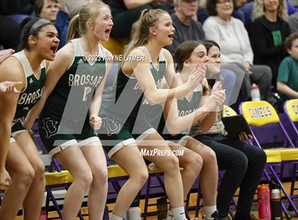 Thumbnail 3 in Bishop Brossart vs Scott (37th District Championship) photogallery.