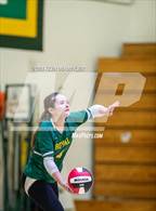 Photo from the gallery "Royal @ Moorpark"