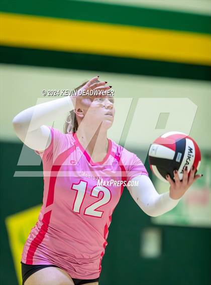 Thumbnail 1 in Royal @ Moorpark photogallery.