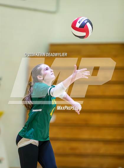 Thumbnail 2 in Royal @ Moorpark photogallery.