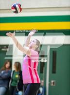 Photo from the gallery "Royal @ Moorpark"