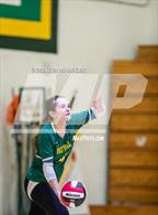 Photo from the gallery "Royal @ Moorpark"