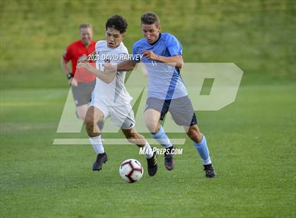 Thumbnail 2 in Pomona @ Ralston Valley photogallery.