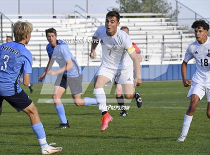 Thumbnail 3 in Pomona @ Ralston Valley photogallery.