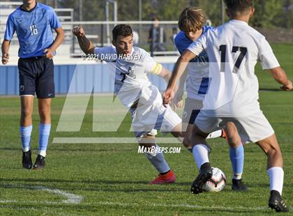 Thumbnail 2 in Pomona @ Ralston Valley photogallery.