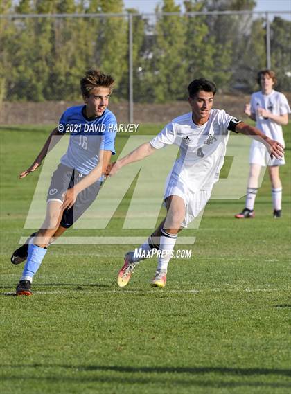 Thumbnail 1 in Pomona @ Ralston Valley photogallery.