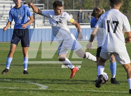 Thumbnail 1 in Pomona @ Ralston Valley photogallery.