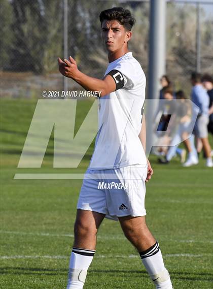 Thumbnail 3 in Pomona @ Ralston Valley photogallery.