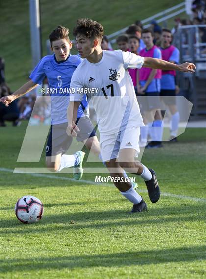 Thumbnail 1 in Pomona @ Ralston Valley photogallery.