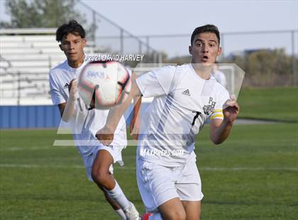 Thumbnail 1 in Pomona @ Ralston Valley photogallery.