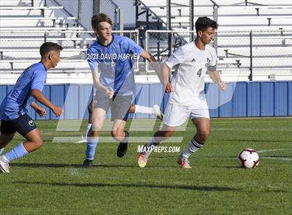 Thumbnail 3 in Pomona @ Ralston Valley photogallery.