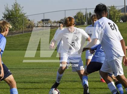 Thumbnail 2 in Pomona @ Ralston Valley photogallery.