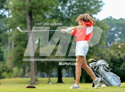 Thumbnail 1 in Churchland Maury Granby Norview photogallery.