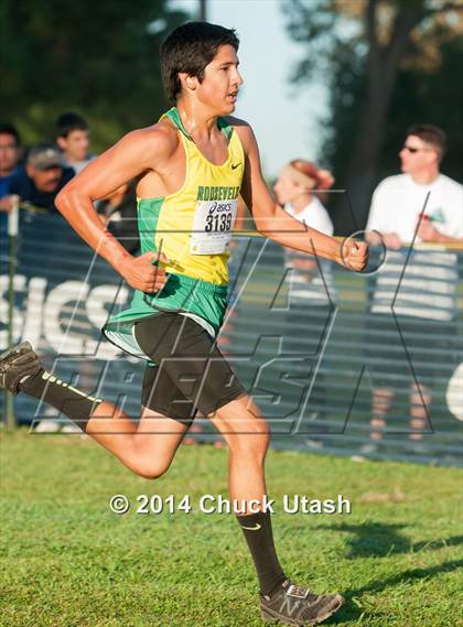 Thumbnail 3 in Clovis Invitational Division 2 5K Varsity Boys Race photogallery.