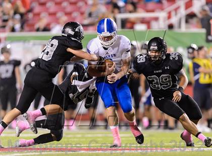 Thumbnail 1 in Alta vs. Bingham photogallery.