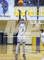 Photo from the gallery "Pine Forest @ Jack Britt"