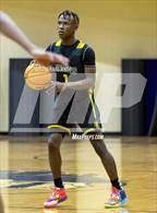 Photo from the gallery "Pine Forest @ Jack Britt"