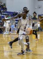 Photo from the gallery "Pine Forest @ Jack Britt"