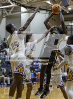 Photo from the gallery "Pine Forest @ Jack Britt"