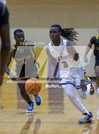 Photo from the gallery "Pine Forest @ Jack Britt"