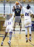 Photo from the gallery "Pine Forest @ Jack Britt"