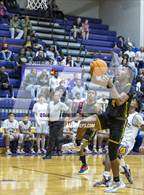 Photo from the gallery "Pine Forest @ Jack Britt"