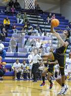 Photo from the gallery "Pine Forest @ Jack Britt"