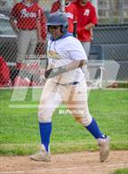 Photo from the gallery "Burroughs @ Muir"