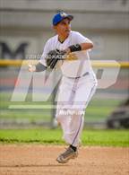 Photo from the gallery "Burroughs @ Muir"