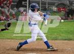 Photo from the gallery "Burroughs @ Muir"