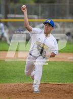 Photo from the gallery "Burroughs @ Muir"