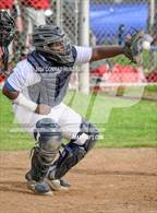 Photo from the gallery "Burroughs @ Muir"