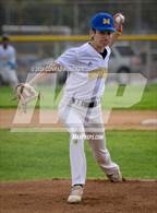 Photo from the gallery "Burroughs @ Muir"