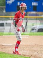 Photo from the gallery "Burroughs @ Muir"