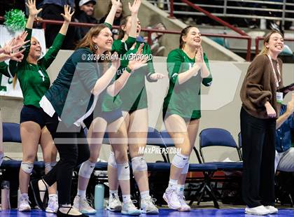 Thumbnail 1 in Mountain Vista vs. Pine Creek (CHSAA 5A Round 2) photogallery.