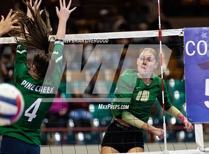 Thumbnail 3 in Mountain Vista vs. Pine Creek (CHSAA 5A Round 2) photogallery.