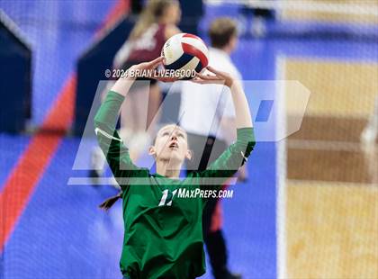 Thumbnail 1 in Mountain Vista vs. Pine Creek (CHSAA 5A Round 2) photogallery.