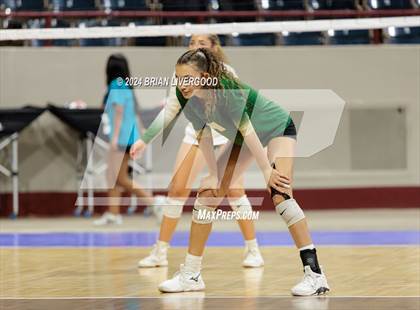 Thumbnail 3 in Mountain Vista vs. Pine Creek (CHSAA 5A Round 2) photogallery.