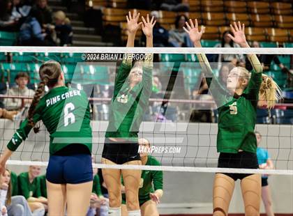 Thumbnail 1 in Mountain Vista vs. Pine Creek (CHSAA 5A Round 2) photogallery.