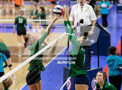 Thumbnail 2 in Mountain Vista vs. Pine Creek (CHSAA 5A Round 2) photogallery.