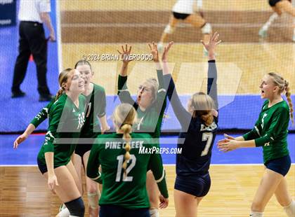 Thumbnail 1 in Mountain Vista vs. Pine Creek (CHSAA 5A Round 2) photogallery.