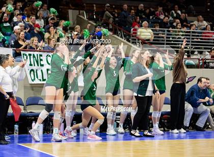 Thumbnail 2 in Mountain Vista vs. Pine Creek (CHSAA 5A Round 2) photogallery.