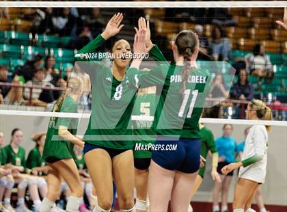 Thumbnail 2 in Mountain Vista vs. Pine Creek (CHSAA 5A Round 2) photogallery.