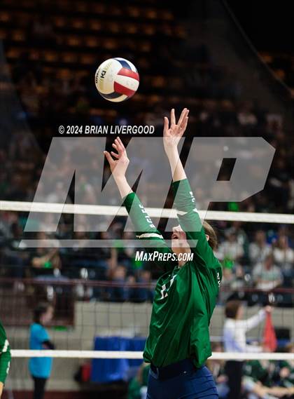 Thumbnail 3 in Mountain Vista vs. Pine Creek (CHSAA 5A Round 2) photogallery.