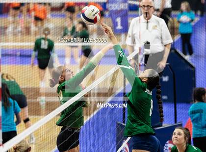 Thumbnail 3 in Mountain Vista vs. Pine Creek (CHSAA 5A Round 2) photogallery.